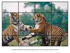 Puzzle-Tiger-3.pdf